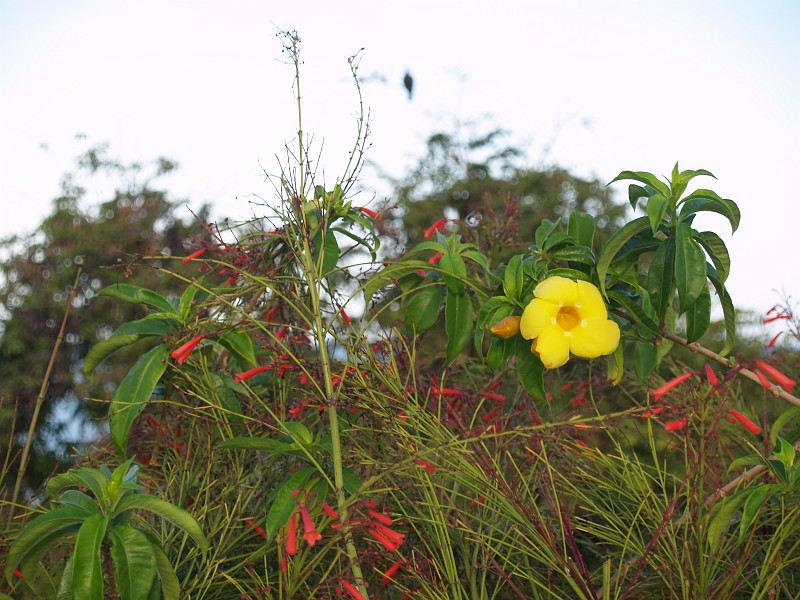 P4189599.JPG