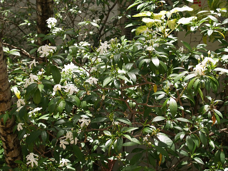 P4230052.JPG