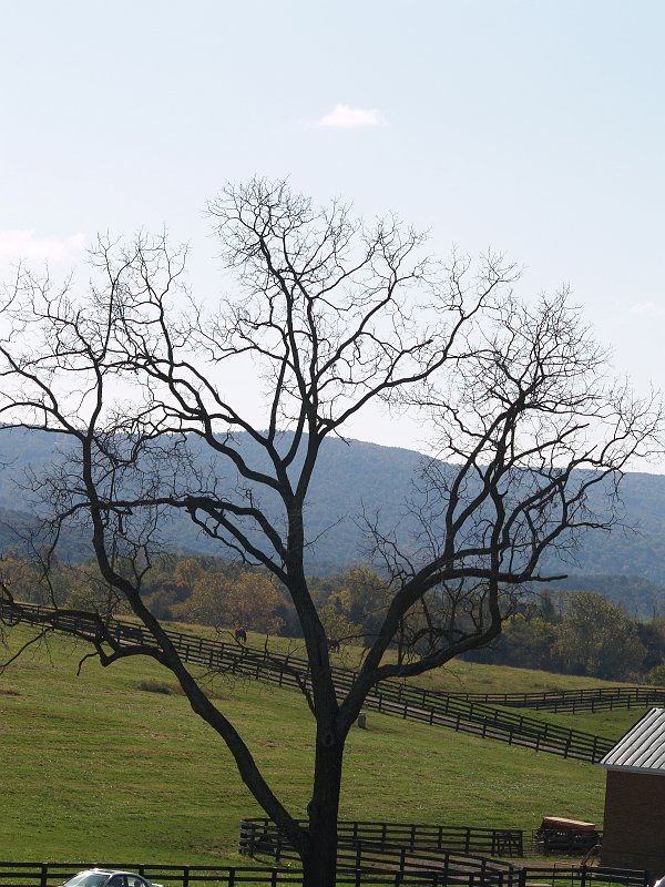 PA181595.JPG