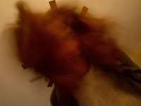 DSC 0263  OMG crazyredheadturningfortyinmypicture