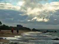 DSC 0350