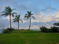 DSC 0354