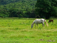 DSC 0504