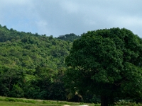 DSC 0505