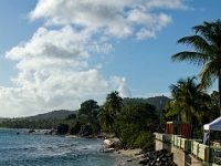 DSC 0518