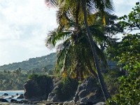DSC 0520