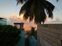 DSC 0653