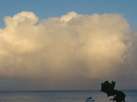 DSC 0660