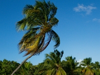 DSC 0703