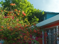 DSC 0820